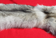 Load image into Gallery viewer, Canadian Arctic Wolf - Taxidermy Quality - WLF1010