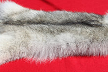 Load image into Gallery viewer, Canadian Arctic Wolf - Taxidermy Quality - WLF1010