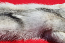 Load image into Gallery viewer, Canadian Arctic Wolf - Taxidermy Quality - WLF1011