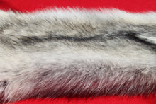 Load image into Gallery viewer, Canadian Arctic Wolf - Taxidermy Quality - WLF1011