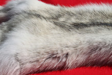 Load image into Gallery viewer, Canadian Arctic Wolf - Taxidermy Quality - WLF1011