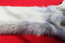 Load image into Gallery viewer, Canadian Arctic Wolf - Taxidermy Quality - WLF1011