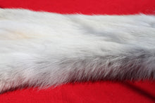 Load image into Gallery viewer, Canadian Arctic Wolf - Taxidermy Quality - WLF1011