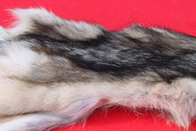 Load image into Gallery viewer, North Idaho Wolf - Taxidermy Quality - WLF1015