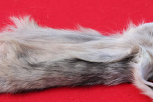 Load image into Gallery viewer, North Idaho Wolf - Taxidermy Quality - WLF1015