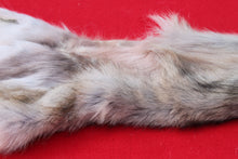 Load image into Gallery viewer, North Idaho Wolf - Taxidermy Quality - WLF1015