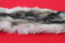 Load image into Gallery viewer, North Idaho Wolf - HAS FEET & CLAWS - WLF1017