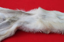 Load image into Gallery viewer, North Idaho Wolf - HAS FEET & CLAWS - WLF1017