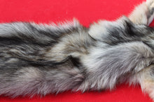Load image into Gallery viewer, North Idaho Wolf - Taxidermy Quality - WLF1018