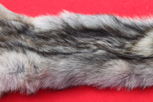Load image into Gallery viewer, North Idaho Wolf - Taxidermy Quality - WLF1018