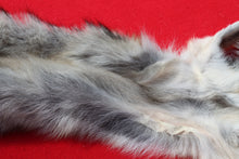 Load image into Gallery viewer, North Idaho Wolf - Taxidermy Quality - WLF1018