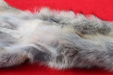Load image into Gallery viewer, North Idaho Wolf - Taxidermy Quality - WLF1018