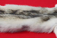 Load image into Gallery viewer, Canadian Arctic Wolf - Taxidermy Quality - WLF1020