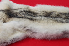 Load image into Gallery viewer, Canadian Arctic Wolf - Taxidermy Quality - WLF1020