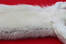 Load image into Gallery viewer, Canadian Arctic Wolf - Taxidermy Quality - WLF1020