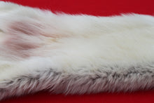 Load image into Gallery viewer, Canadian Arctic Wolf - Taxidermy Quality - WLF1020