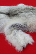 Load image into Gallery viewer, Canadian Arctic Wolf - WLF1021