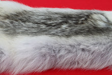 Load image into Gallery viewer, Canadian Arctic Wolf - WLF1021