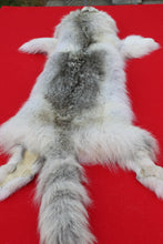 Load image into Gallery viewer, Canadian Arctic Wolf - WLF1021