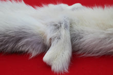 Load image into Gallery viewer, Canadian Arctic Wolf - WLF1021