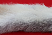Load image into Gallery viewer, Canadian Arctic Wolf - WLF1021