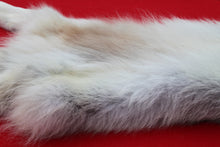 Load image into Gallery viewer, Canadian Arctic Wolf - WLF1021