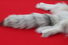 Load image into Gallery viewer, Canadian Arctic Wolf - WLF1021