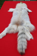Load image into Gallery viewer, Canadian Arctic Wolf - WLF1021