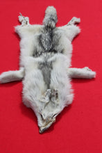 Load image into Gallery viewer, Canadian Arctic Wolf Hide - WLF1022