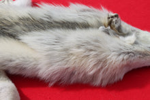 Load image into Gallery viewer, Canadian Arctic Wolf Hide - WLF1022