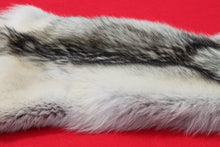 Load image into Gallery viewer, Canadian Arctic Wolf Hide - WLF1022
