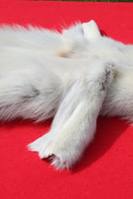 Load image into Gallery viewer, Canadian Arctic Wolf Hide - WLF1022