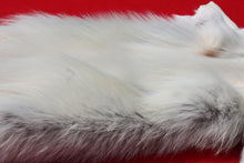 Load image into Gallery viewer, Canadian Arctic Wolf Hide - WLF1022