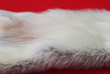 Load image into Gallery viewer, Canadian Arctic Wolf Hide - WLF1022
