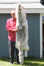 Load image into Gallery viewer, Canadian Arctic Wolf - WLF1021