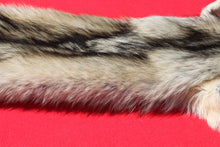 Load image into Gallery viewer, Central Idaho Female Wolf - Taxidermy Quality - WLF1025
