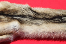 Load image into Gallery viewer, Central Idaho Female Wolf - Taxidermy Quality - WLF1025