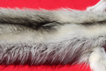 Load image into Gallery viewer, Canadian Arctic Alpha Male Wolf - Taxidermy Quality - WLF1026
