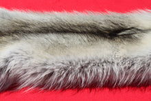 Load image into Gallery viewer, Canadian Arctic Alpha Male Wolf - Taxidermy Quality - WLF1026