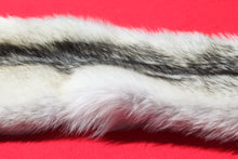 Load image into Gallery viewer, Canadian Arctic Wolf - Has FEET AND CLAWS - WLF1029