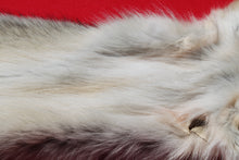 Load image into Gallery viewer, Northwestern Montana Wolf - Taxidermy Quality - WLF1034