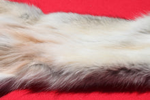 Load image into Gallery viewer, Northwestern Montana Wolf - Taxidermy Quality - WLF1034