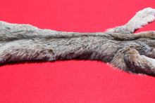 Load image into Gallery viewer, Canadian Lynx - Taxidermy Quality - LYX1001