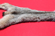 Load image into Gallery viewer, Canadian Lynx - Taxidermy Quality - LYX1001
