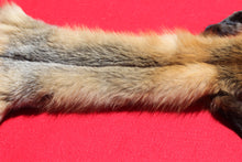 Load image into Gallery viewer, North Idaho Cross Fox - HAS FEET AND CLAWS - CFX1001