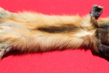 Load image into Gallery viewer, North Idaho Cross Fox - HAS FEET AND CLAWS - CFX1001