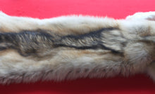 Load image into Gallery viewer, Huge Canadian Arctic Wolf - Taxidermy Quality - WLF1037