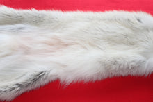 Load image into Gallery viewer, Huge Canadian Arctic Wolf - Taxidermy Quality - WLF1037