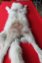 Load image into Gallery viewer, Yukon Wolf - HAS FEET AND CLAWS - WLF1040