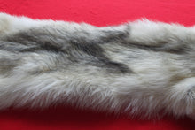 Load image into Gallery viewer, Canadian Arctic Wolf - Taxidermy Quality - WLF1041